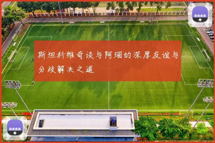 斯坦科维奇谈与阿瑙的深厚友谊与分歧解决之道